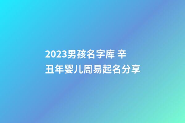 2023男孩名字库 辛丑年婴儿周易起名分享